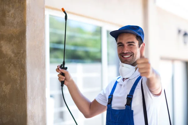 South Lake Tahoe Wasp Removal