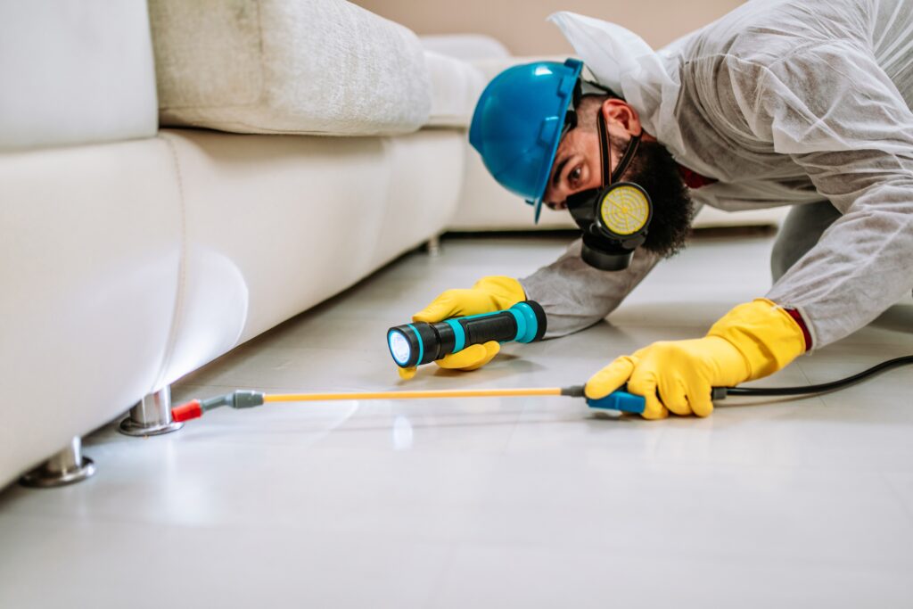 South Lake Tahoe Termite Control