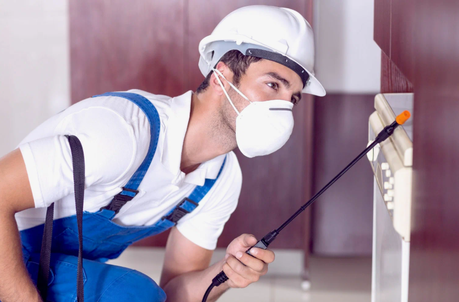 South Lake Tahoe local pest services