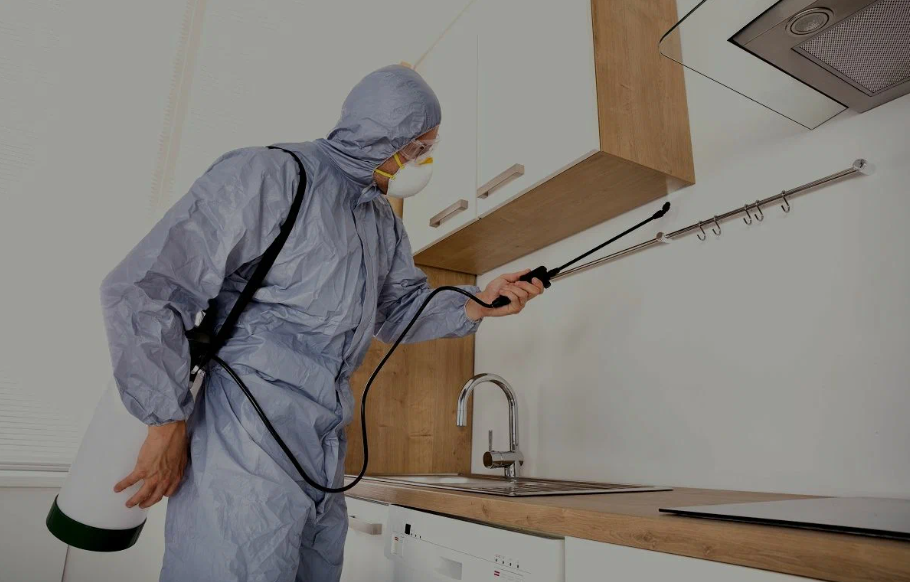 South Lake Tahoe pest managment
